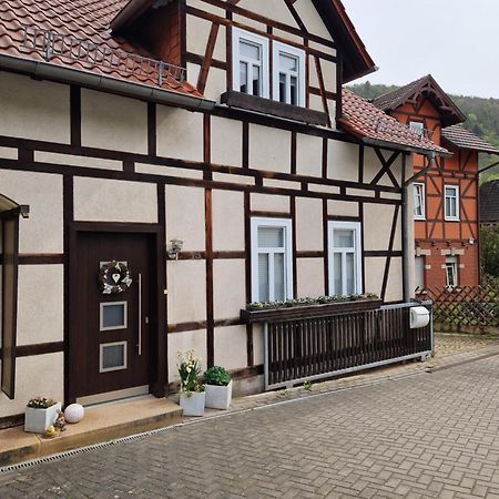 Ferienhaus Reschwitzer Auszeit Saalfeld Saale Kültér fotó